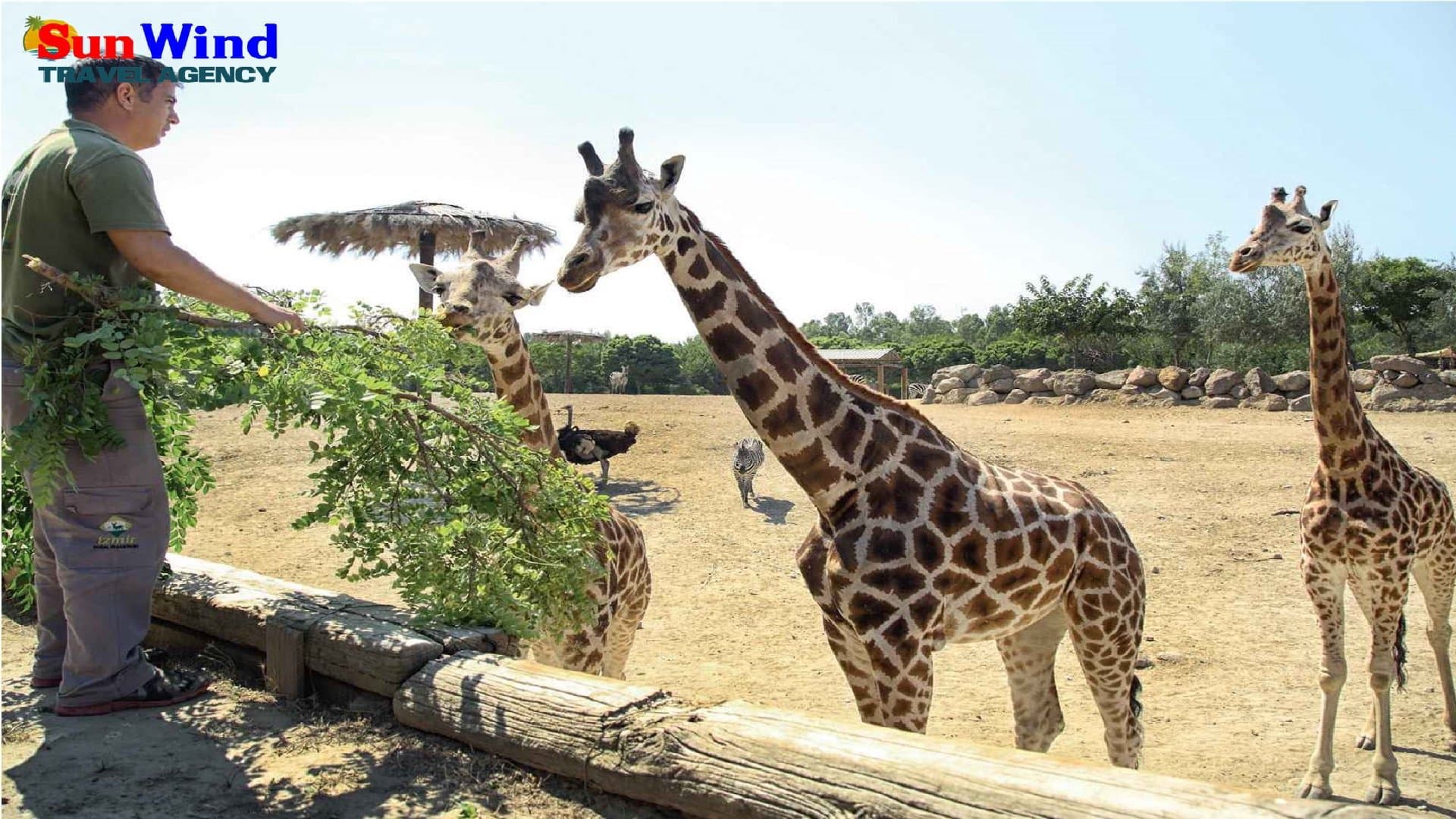 İzmir Wildlife Park - Image 4