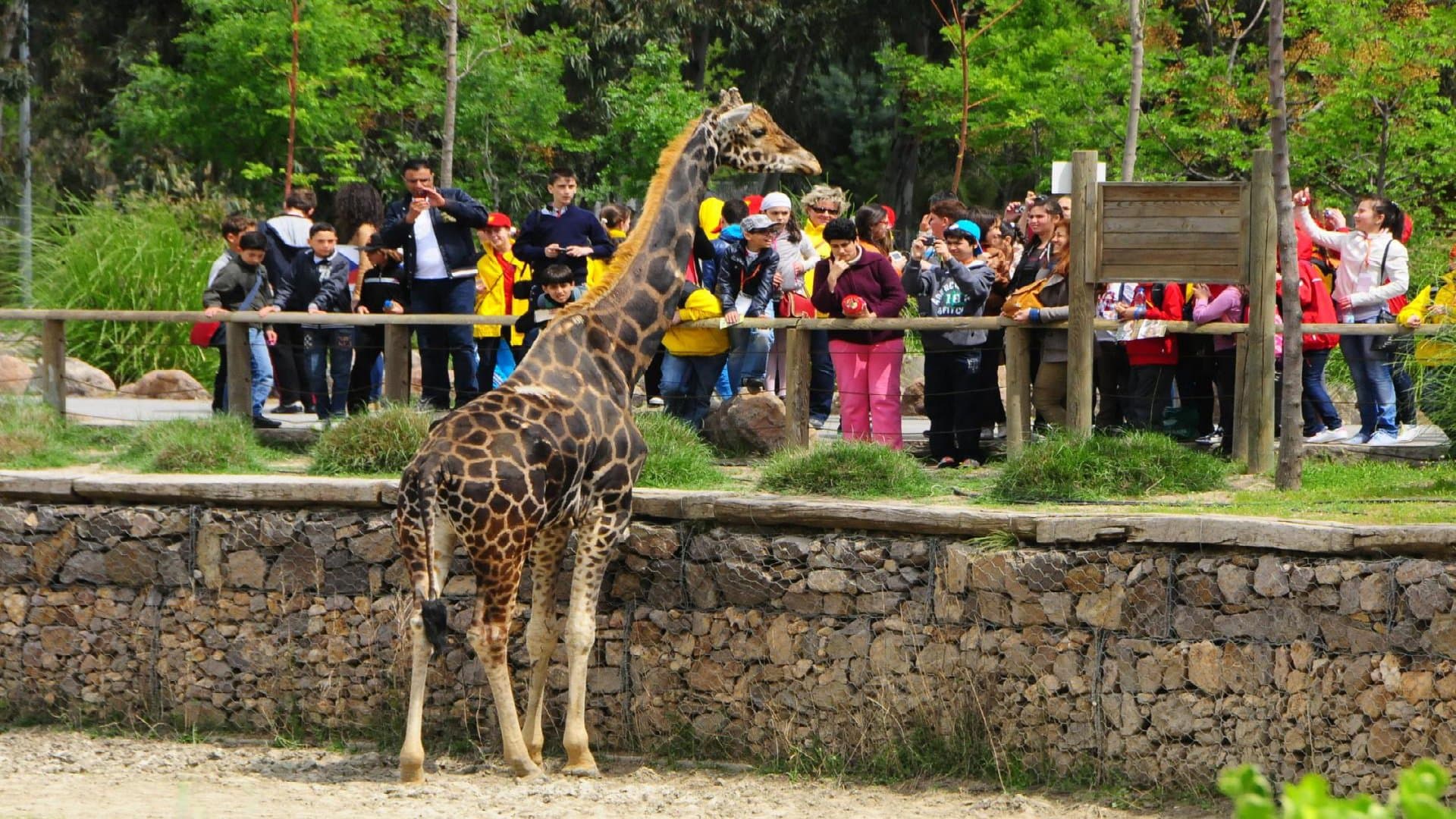 İzmir Wildlife Park - Image 5