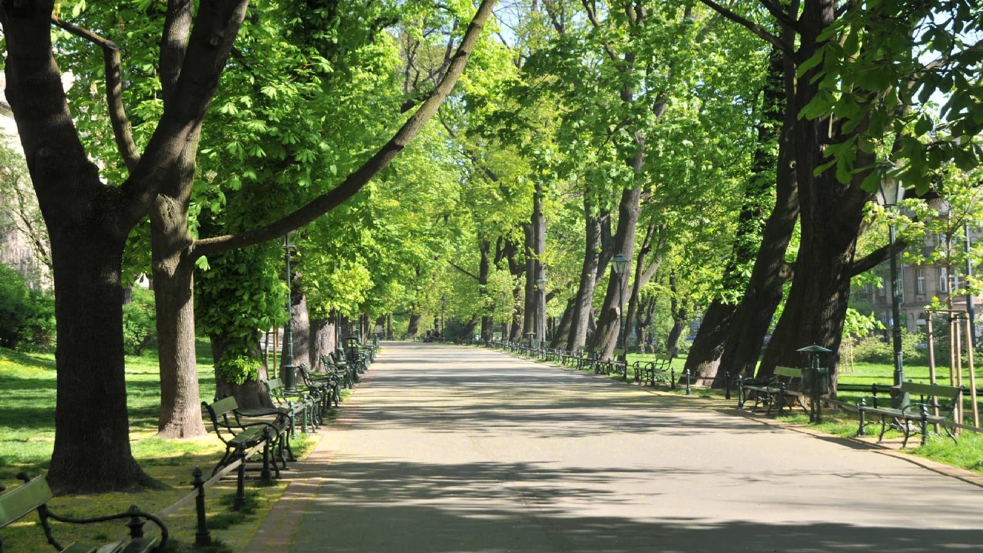 Planty Park - Image 3