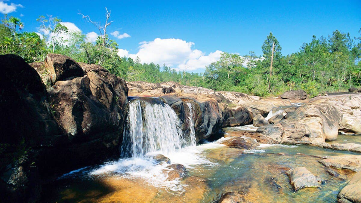 Mountain Pine Ridge Forest Reserve - Image 5