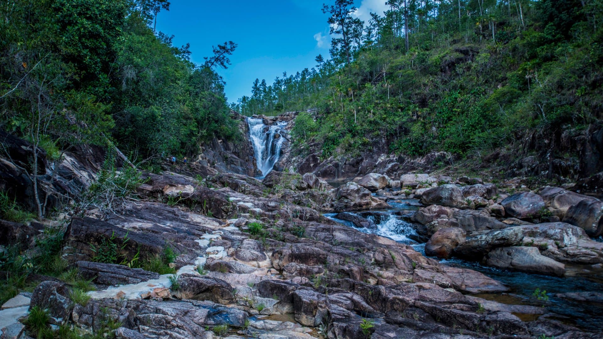 Mountain Pine Ridge Forest Reserve - Image 4